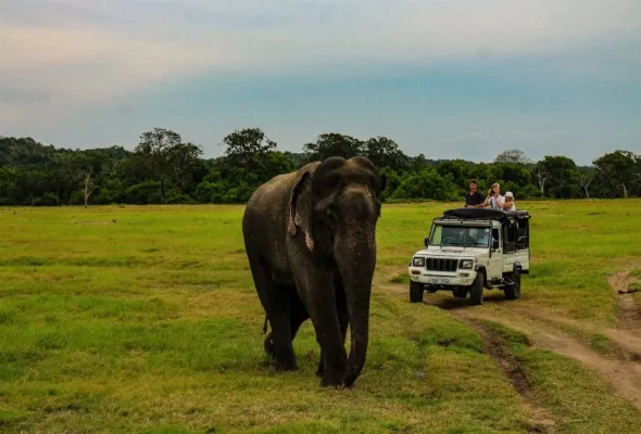 discover-the-enchanting-wonders-of-sri-lanka-a-tropical-paradise